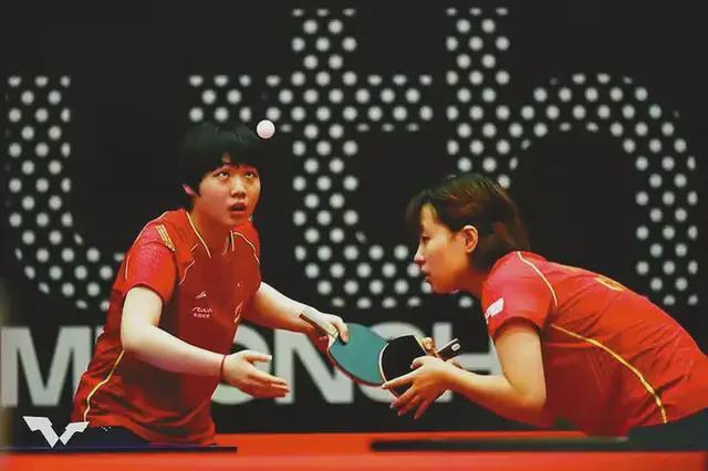 樊振东逐渐 樊振东逐渐