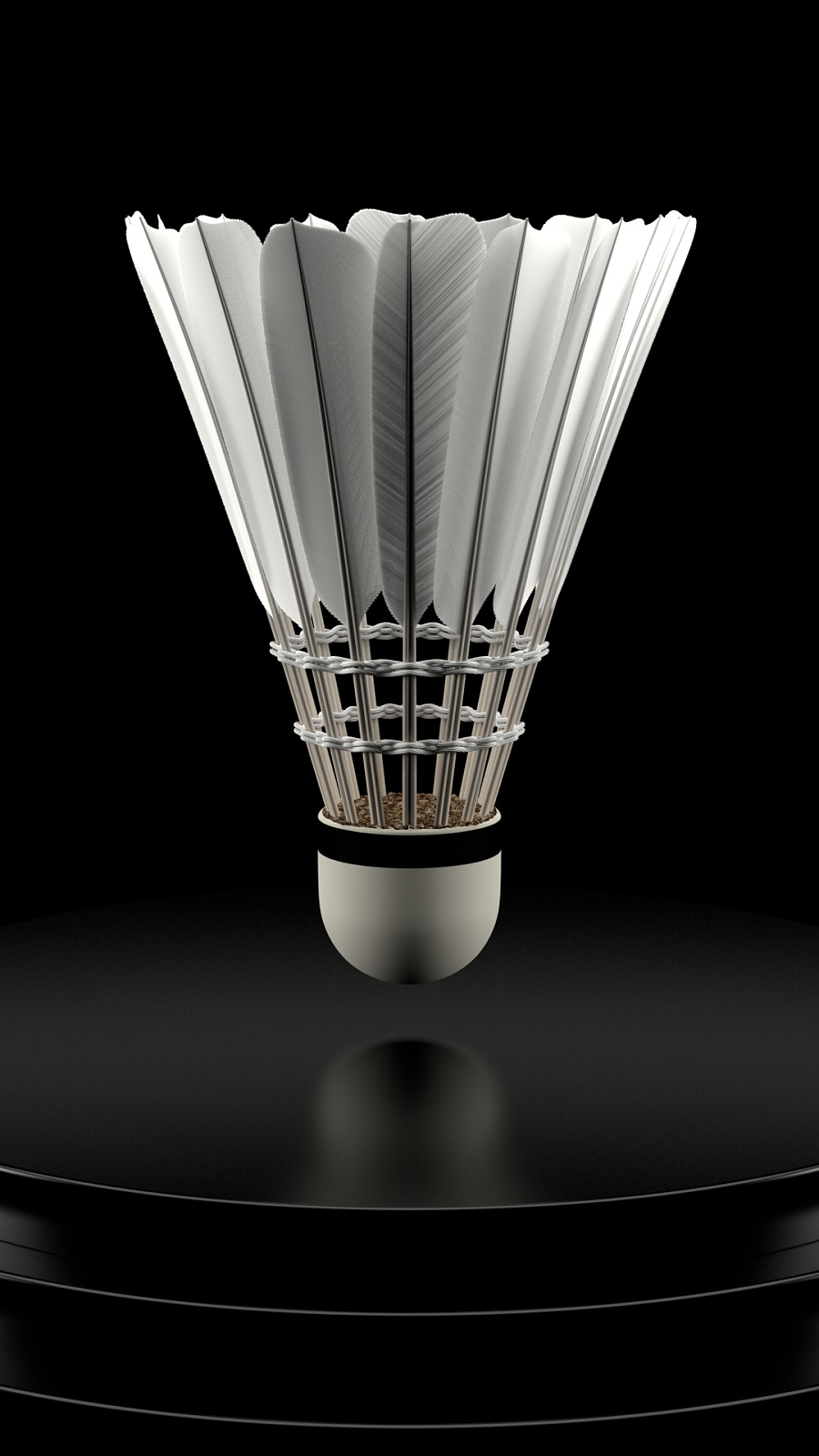 本西蒙斯在 本西蒙斯在